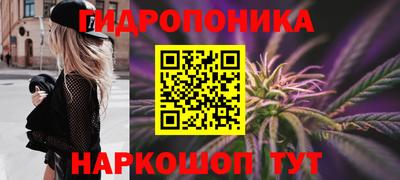 прущий лед Будённовск
