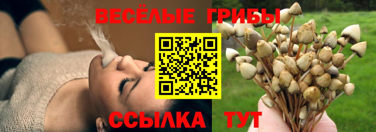 Псилоцибиновые грибы Magic Shrooms  Псилоцибиновые грибы мицелий  Вход с VPN  Раменское 